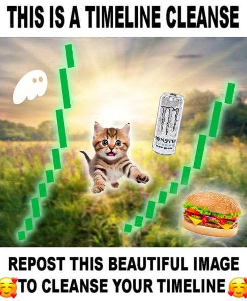 Timeline Cleanse 
$Cleanse 

HZyBTRZwufFypTEYYD8tvPktbzJdoUuRCfM5xPZpump