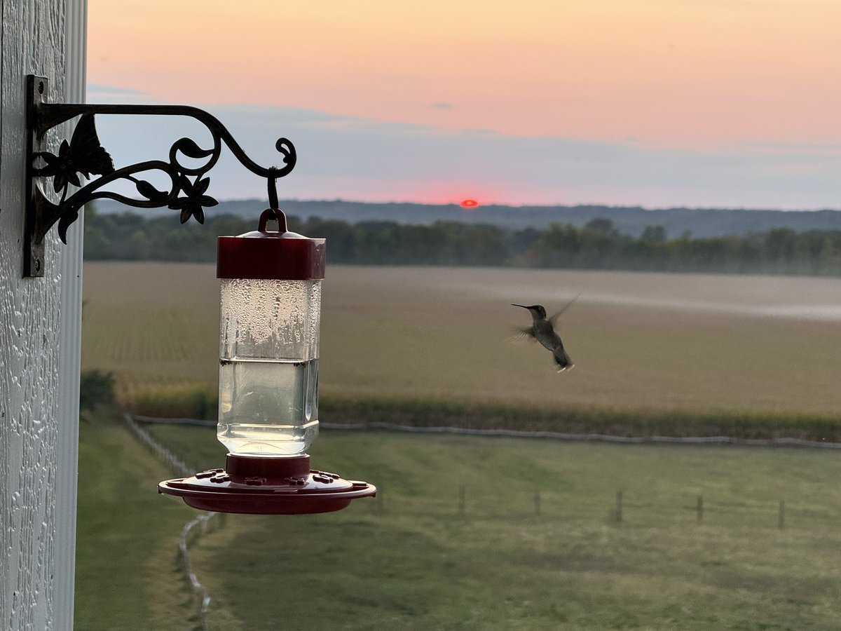 84 high west central indiana with hummingbirds ready for long trip south <a href="/SeanAshWX/">Sean Ash</a> <a href="/BrianWilkes59wx/">Brian Wilkes</a> <a href="/NWSIndianapolis/">NWS Indianapolis</a> #inwx