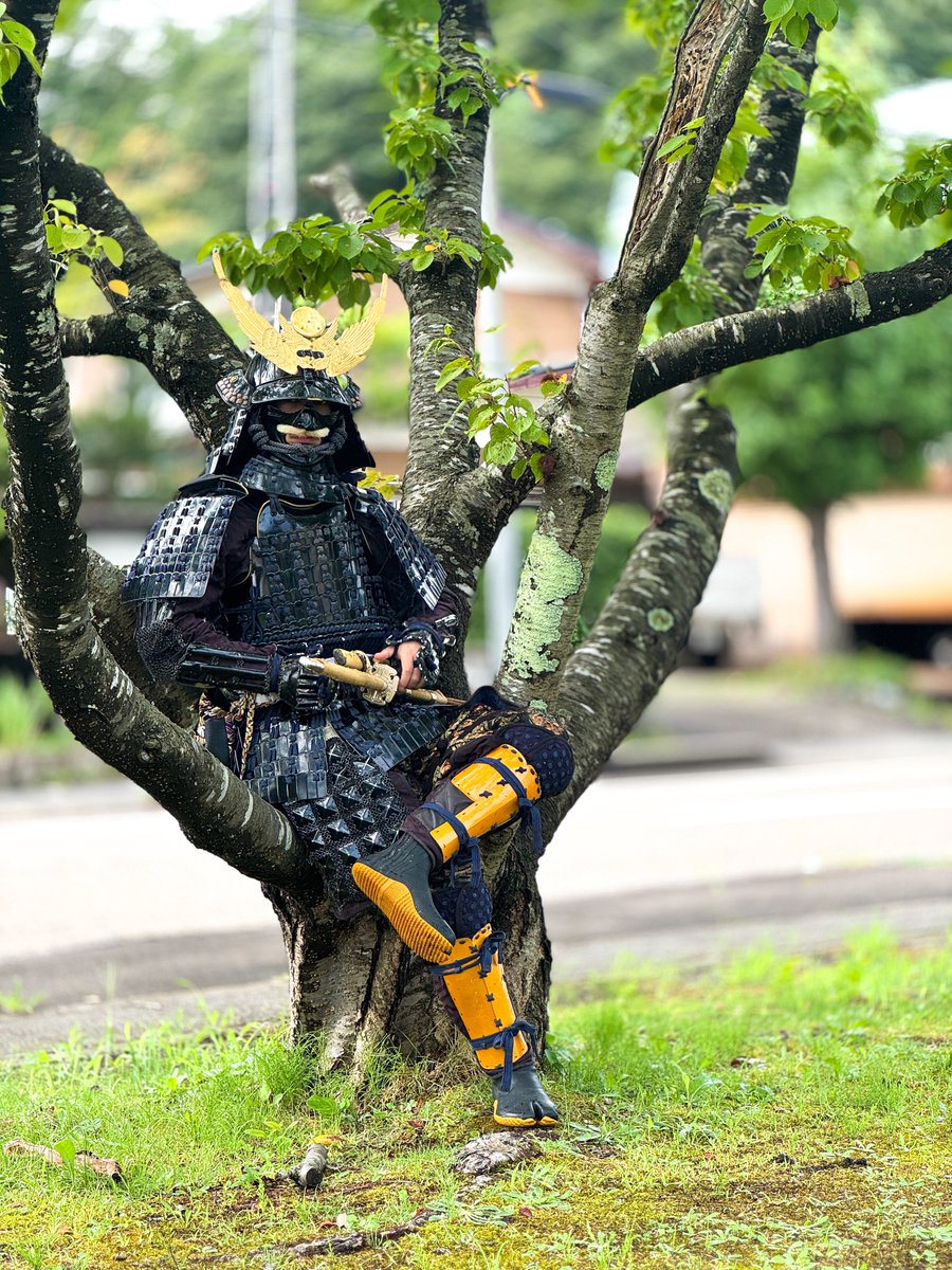 おはようさんじゃ！