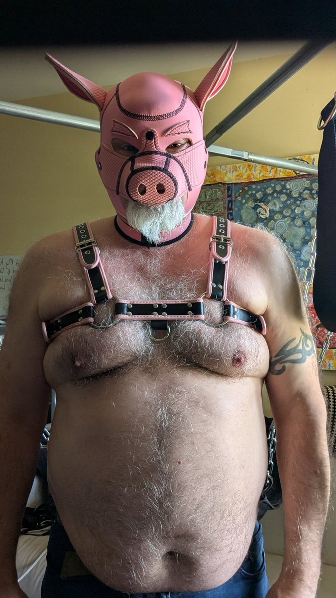 PiggyPDX tweet media