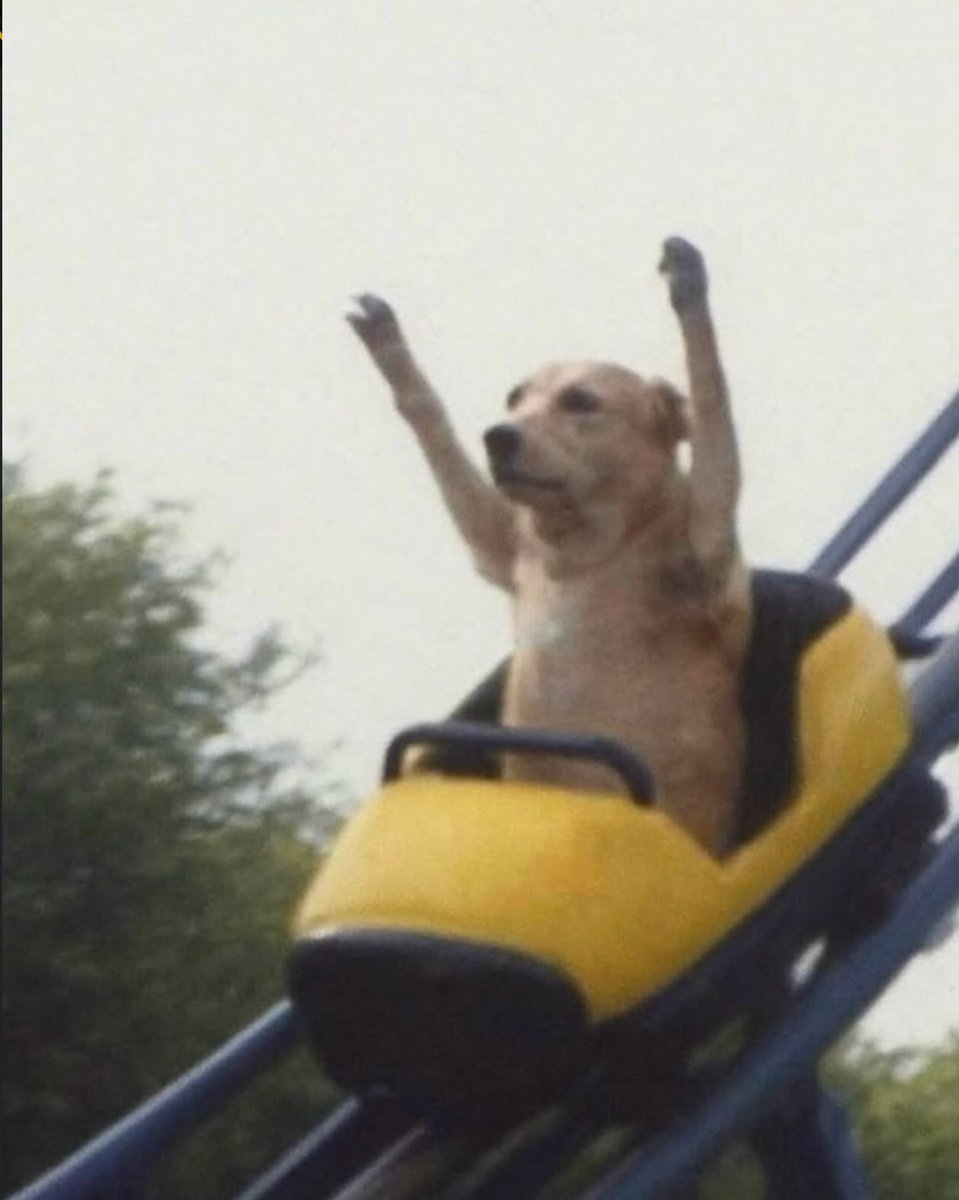 MrDoge (@mrdogekekw) on Twitter photo 