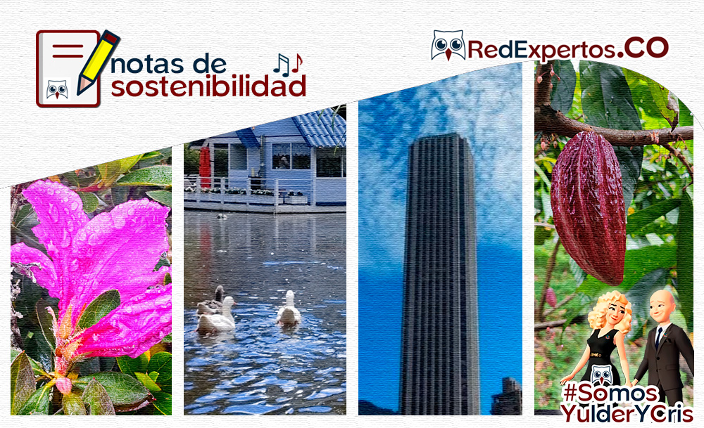 RedExpertos (@redexpertoscys) on Twitter photo #NotasDeSostenibilidad, Boletín #282 #RedExpertos
Compendio de buenas noticias de RSE, Medio Ambiente, innovación y desarrollo
redexpertos.co/notas-de-soste…
#SomosYulderYCris
#RedExpertos
#Sostenibilidad <a href="/crissacro/">Maria Cristina Salas</a> <a href="/yulderj/">Yulder Jiménez Clavijo</a> #NotasDeSostenibilidad, Boletín #282 #RedExpertos
Compendio de buenas noticias de RSE, Medio Ambiente, innovación y desarrollo
redexpertos.co/notas-de-soste…
#SomosYulderYCris
#RedExpertos
#Sostenibilidad <a href="/crissacro/">Maria Cristina Salas</a> <a href="/yulderj/">Yulder Jiménez Clavijo</a>