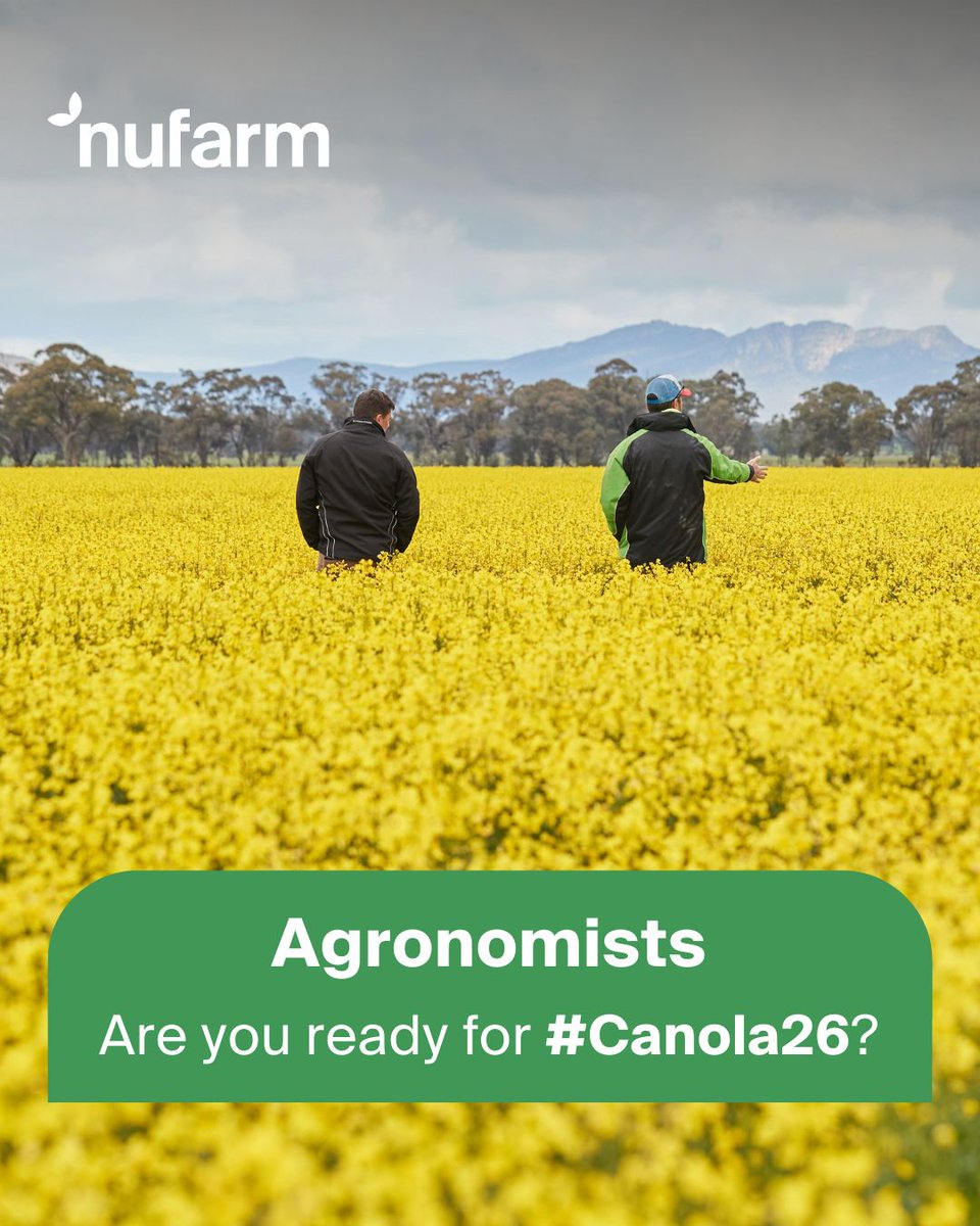 NufarmSeedsAU's tweet image. 📣 Planning for #Canola26? Whether you need a refresher on proven performers or the latest on new hybrids #Nufarm has the resources to support you. Our tech sheets &amp;amp; local team are here to help 👉 bit.ly/NufarmSeeds_Te…