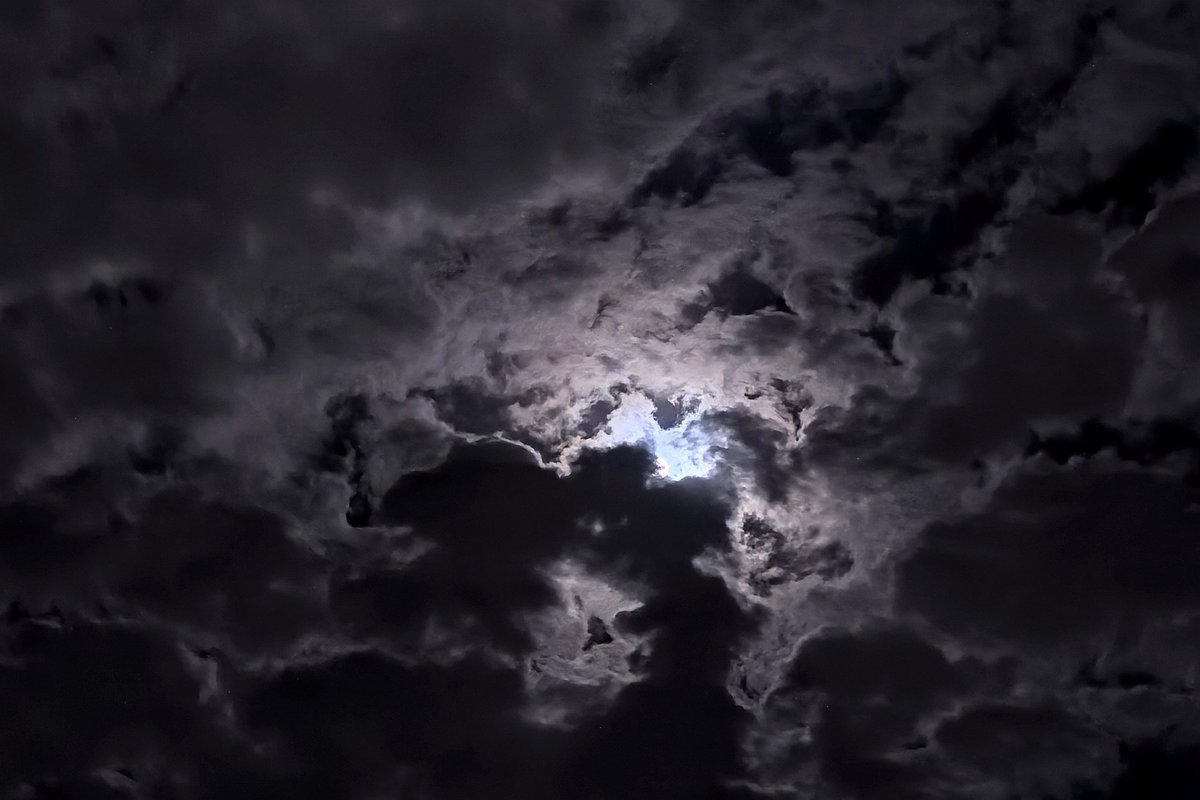 __El____'s tweet image. 