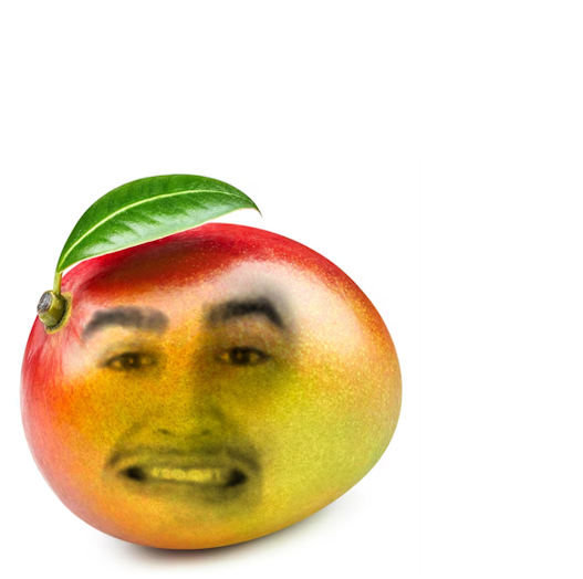 Paulie (Pauly P) tweet media