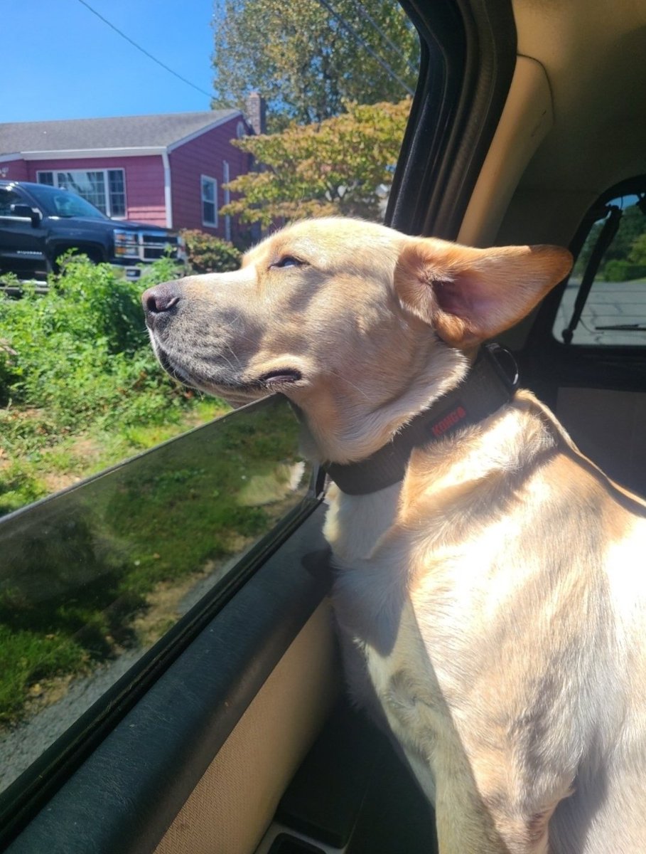 We do a lil DOC-toring of the timeline 🫂🫂🫂🫂