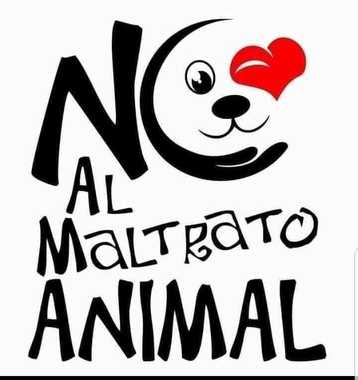 GRamirezF_D12's tweet image. #NoAlMaltratoAnimal