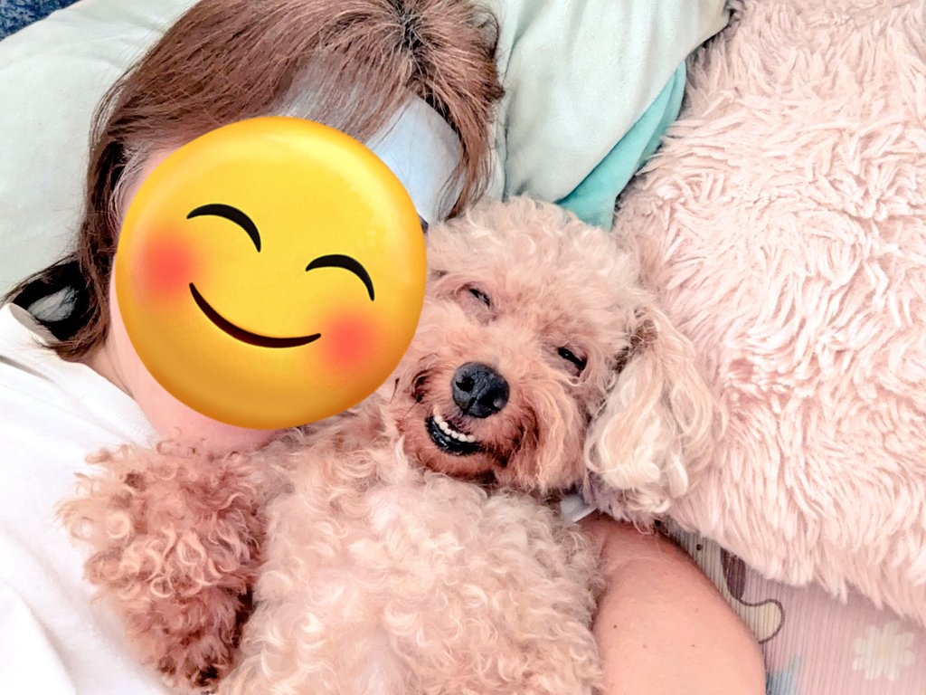 ももたん しんたんももたん (@shintanmomotan) / X