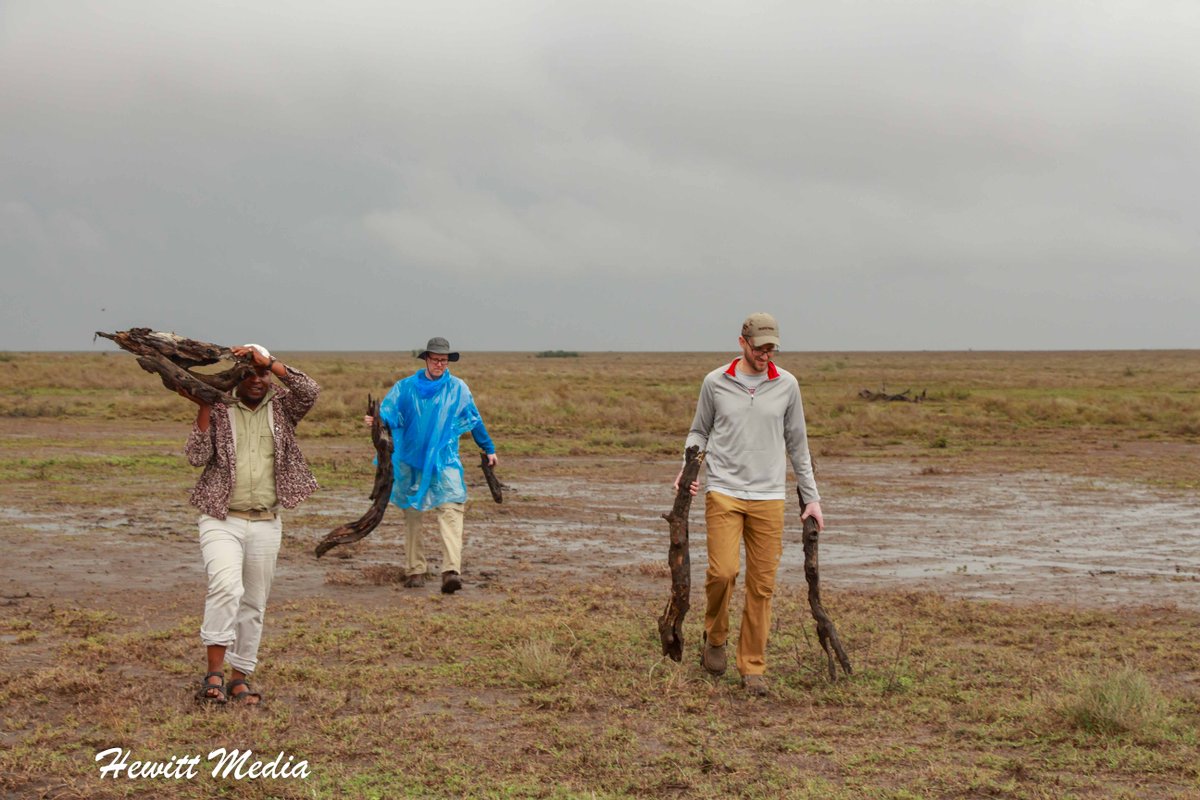 WanderLust1280's tweet image. Our Stuck in the Serengeti Adventure

Getting stuck in the Serengeti National Park in Tanzania was quite the adventure. Watch this video of our Serengeti adventure to learn more.

wanderlustphotosblog.com/2017/12/21/stu…

#Serengeti #Tanzania #SafariAdventure #StuckInTheSerengeti #AdventureTravel
