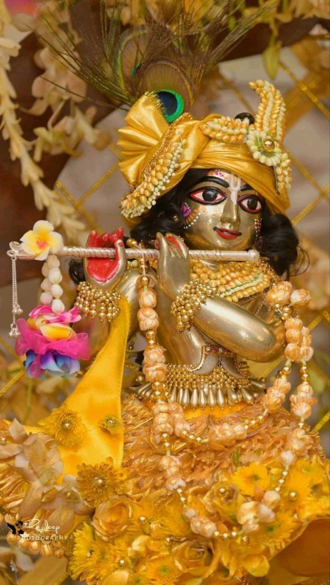 🕉कृष्णाय वासुदेवाय हरये परमात्मने!
प्रणत क्लेश नाशाय गोविंदाय नमो नमः!!

🔱सत्य ही ईश्वर हैं 
ईश्वर ही सत्य है
मानव जन्म अनमोल है,
जो सत्य मे जिया
वोही सफल हैं । 🚩

ॐ नमो भगवते वासुदेवाय 📿
         🙏सुप्रभात🙏