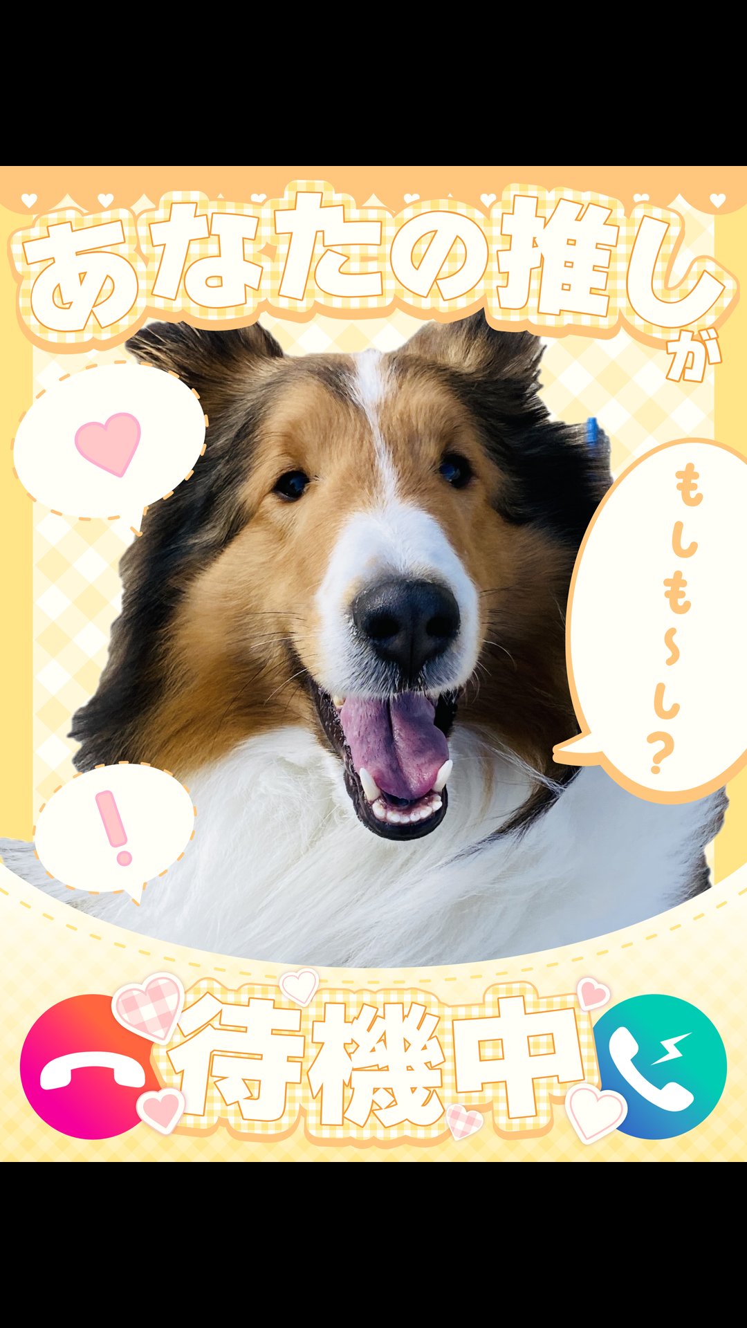 でかしぇるりんた (@sheltie_rinta) / X