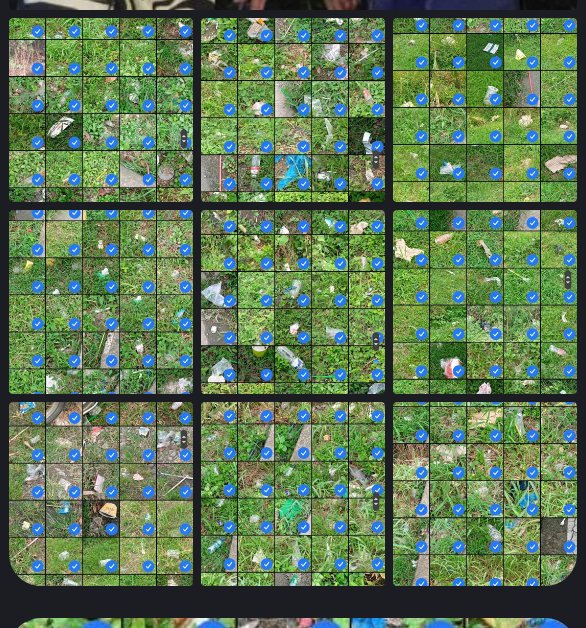 Litter Token ($LTK) 🌱 tweet media