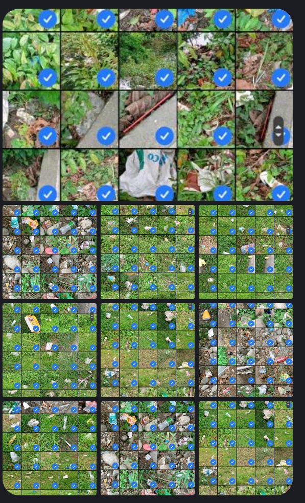 Litter Token ($LTK) 🌱 tweet media