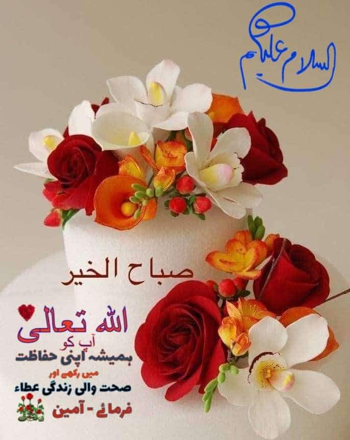 السلام علیکم ورحمتہ اللہ وبرکاتہ 
صبح بخیر زندگی