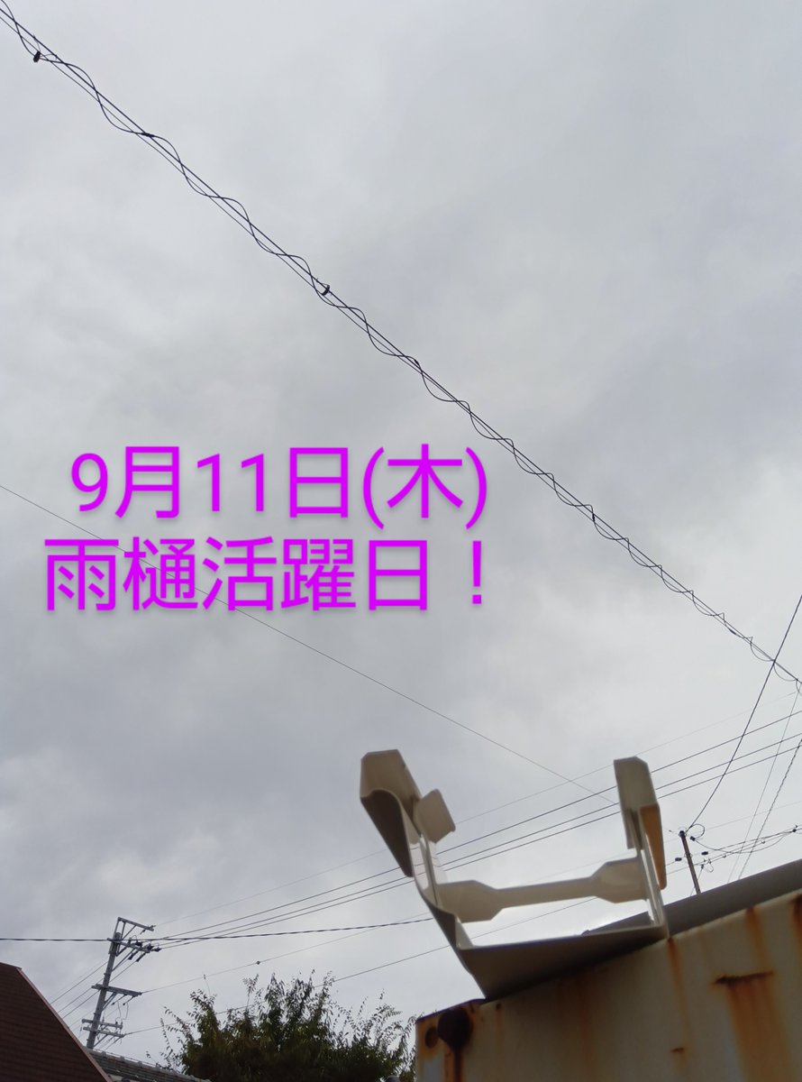 saida_kk758's tweet photo. おはようございます🙇‍♂️

久し振りの雨...かな❓
＃雨樋 たちの出番がきたようです💪

今朝は住宅用雨樋部材
「＃パナソニック ＃軒継手 ＃PC77 」がご挨拶

軒樋を繋ぐ大事な部材で、昨日まで紹介していた ＃PC50 よりも大きな ＃樋 です

#企業公式相互フォロー 
#企業公式つぶやき部 https://t.co/AUtFxXxZLk