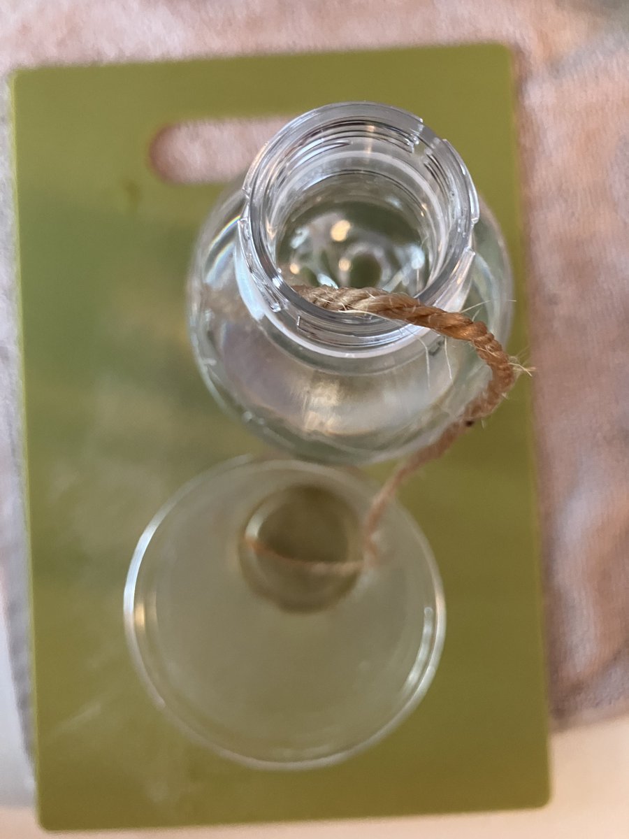 SteeveetS's tweet photo. 【植物Loverに朗報】

㊗️10日間旅行でも植物が枯れない方法を発見‼️

毛細管現象を利用し麻紐とペットボトルで簡単に自作🉑

結果大成功‼️
ネットは人類の叡智の賜物✨

留守中心配なし☆麻紐で手軽♪自動水やり装置https://t.co/ISDXhLz745

#留守中の水やり
#水やり当番
#水やり装置
#自動水やり装置 https://t.co/mSdaO8LI56