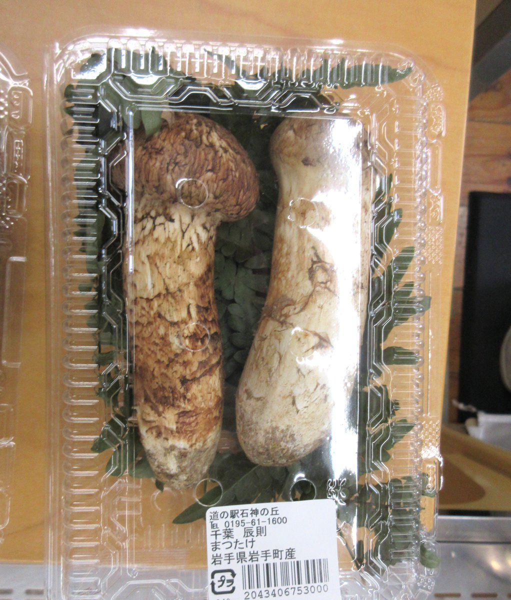 松茸、入りました】 #岩手町 #産直石神の丘 で 初物の松茸が入ってき