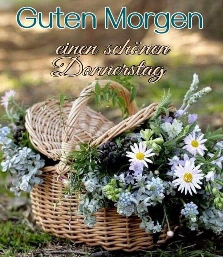 Einen wunderschönen guten Morgen liebe Zwitschervögel. Ich wünsche euch allen einen schönen Donnerstag. Habt alle einen schönen Tag. Die Startgetränke sind fertig. Greift zu.☕️🫖🍫Wem es nicht so gut geht der fühlt sich gedrückt. 🫂 Mich ruft die Arbeit  wieder. Bis später. 🤷‍♂️😘