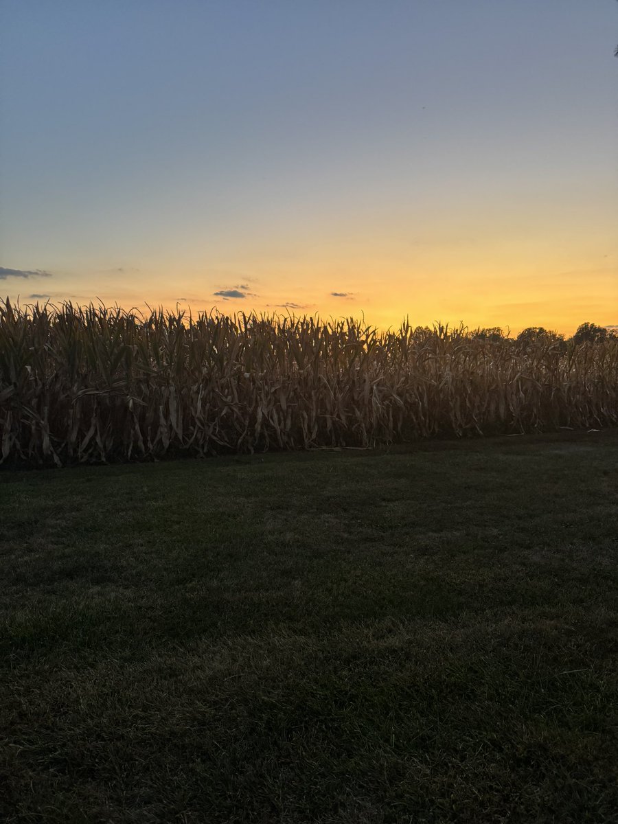 Indiana nights….💙💛