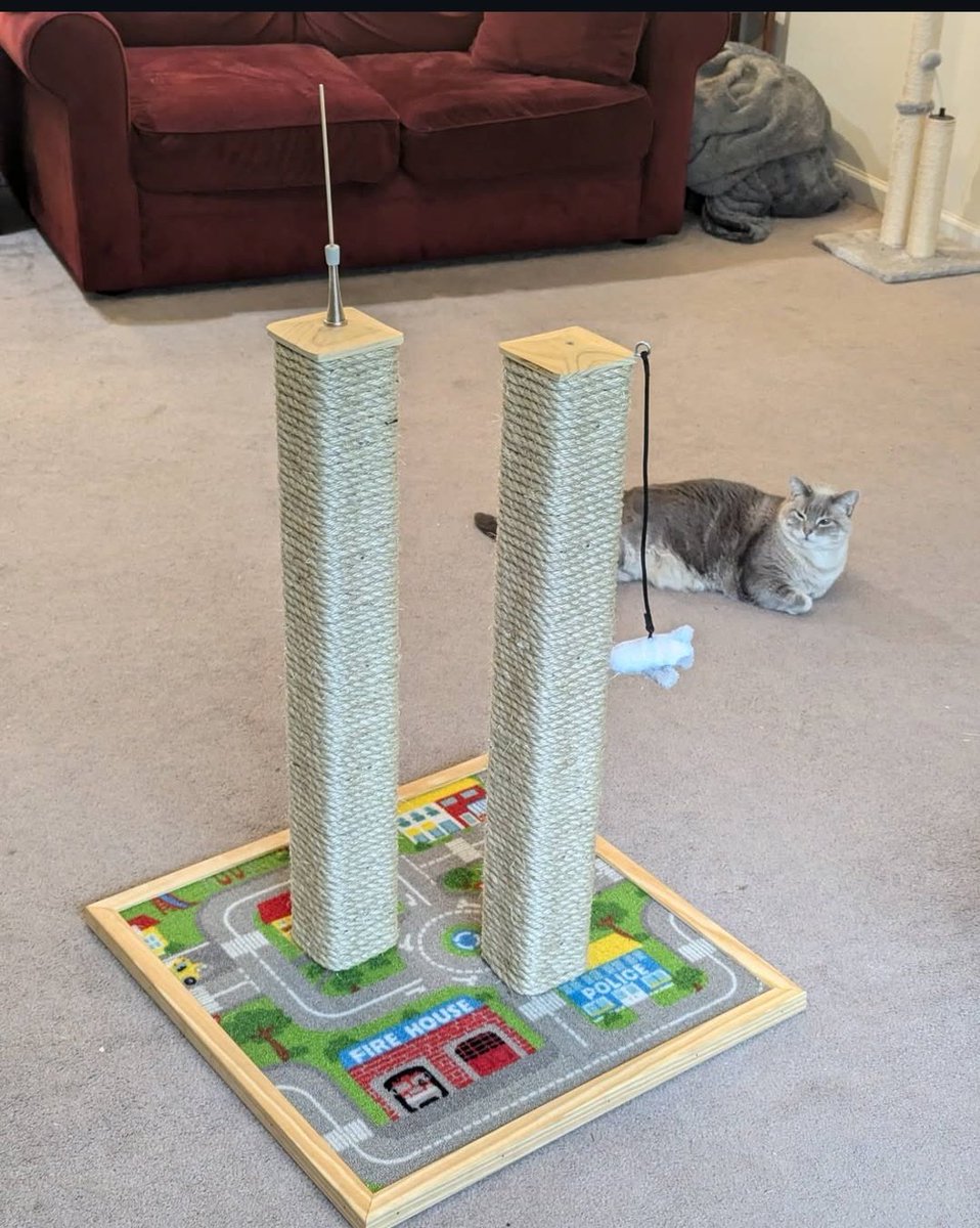 Les gusta el nuevo juguetito de mi gato? 
Lo saqué en 9 cuotas con 11% de interes... 🗼🗼🛩️😸