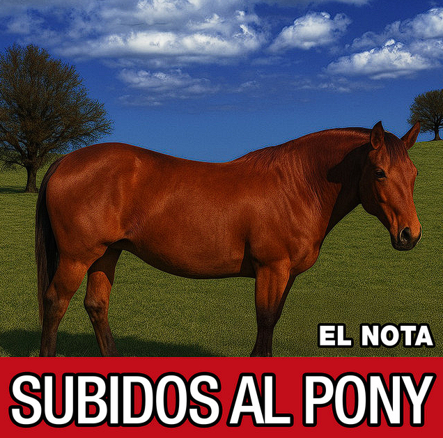 ⭐️ Acaba de salir "SUBIDOS AL PONY" primer disco de estudio de El Nota lanzado vía Hora Cero Records - <a href="/stanlop/">Estanislao López</a>