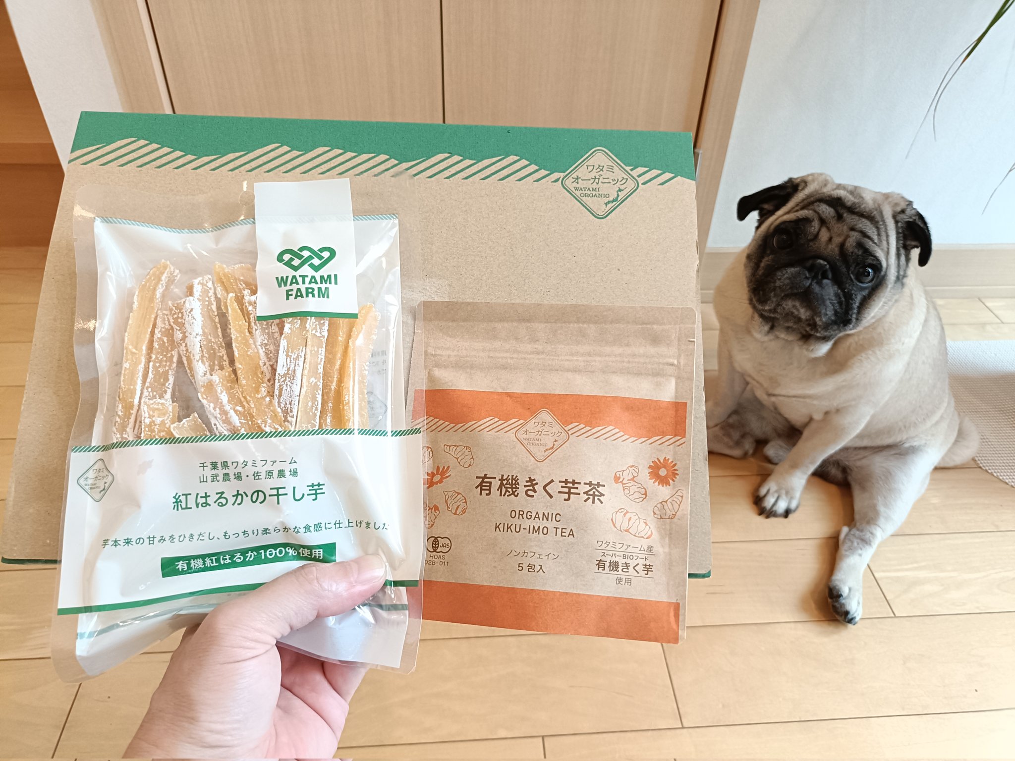 パグさん 専用 pug様専用 PUG様専用 ☆pug様 専用 パグさん☆