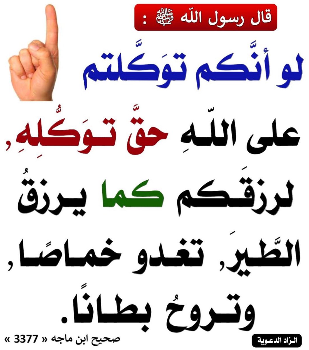💚ابوفهد #الأهلاوي💚 (@technical1313) on Twitter photo 