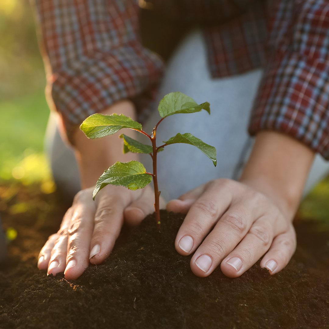 TruWestCU's tweet image. Compound interest is one of the most powerful tools for #buildingwealth! 🌳 The interest you earn reinvests itself, creating a snowball effect that helps your money grow faster over time.

Learn more at truwest.org/articles/maxim…

#CompoundInterest #Investing #HowtoInvest