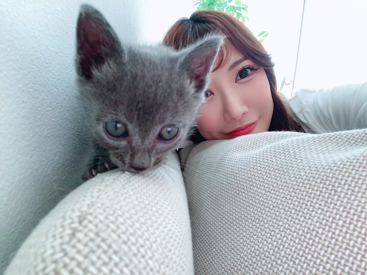🧸mico(みこっくま)❤️👶🏻 (@miko_1201) / X