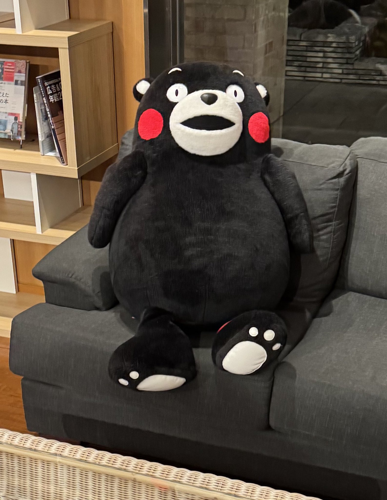 ❌熊好き*.(๓´͈ ˘ `͈๓).*新品　100匹の熊さん ❌熊好き*.(๓´͈ ˘ `͈๓).*新品 100匹の熊さん