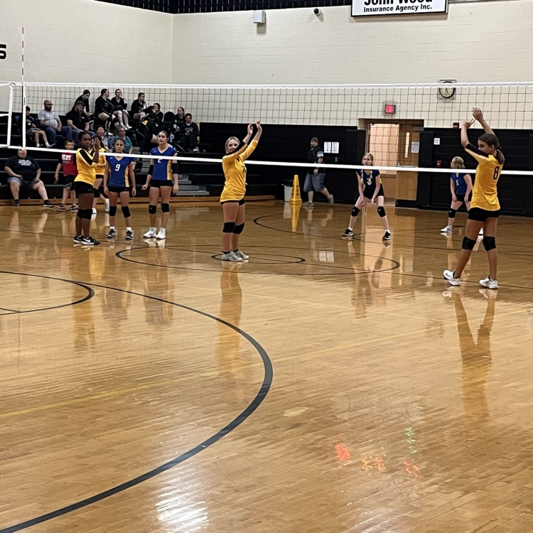 7th &amp; 8th grade Volleyballs both defeated CNE tonight! Great job Lady G-Men! 🏐⚫️🟡