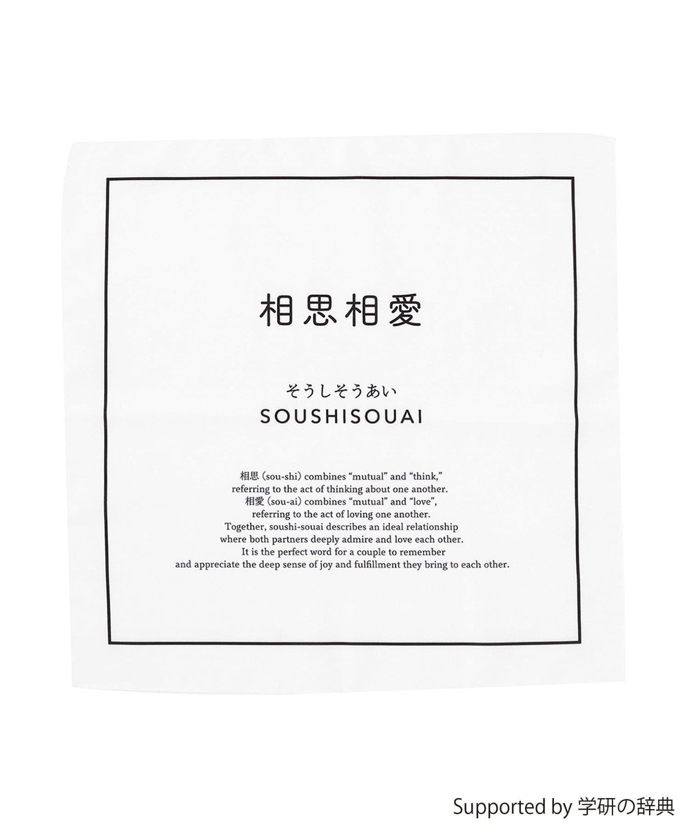 極希少品❗️これで充分四字熟語 極希少品❗️これで充分四字熟語 知ってる？四字熟語 DVD 日本語【正規