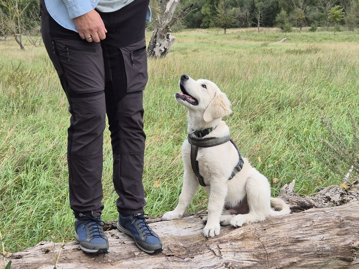 Die Zeiten im allgemeinen sind furchtbar, beängstigend und deprimierend. Ein Segen, wenn man eine Aufgabe hat. Voller Fokus auf seine Ausbildung und Erziehung, draußen sein, weit ab von allem. ☀️