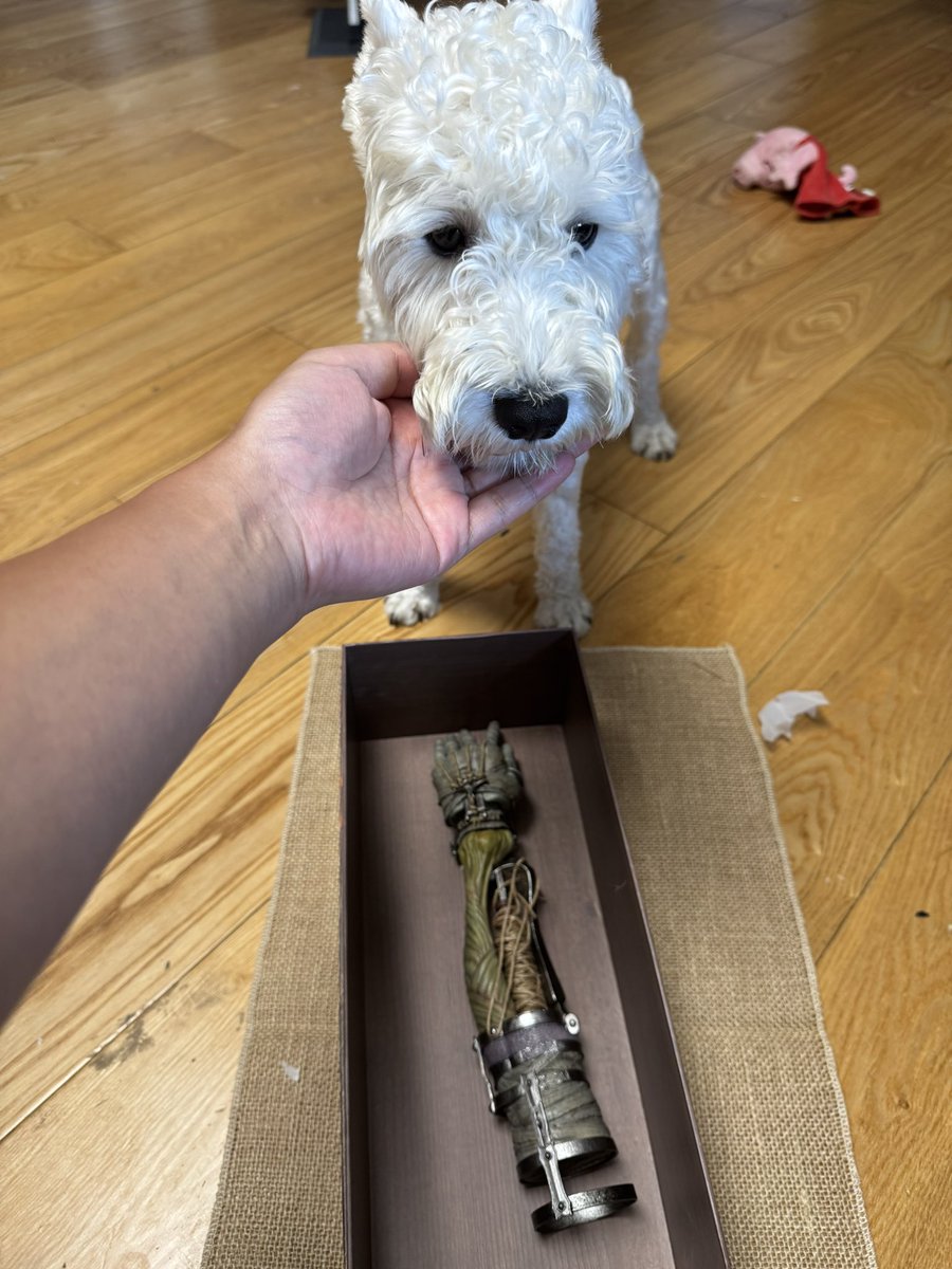 只不过是条小狗而已