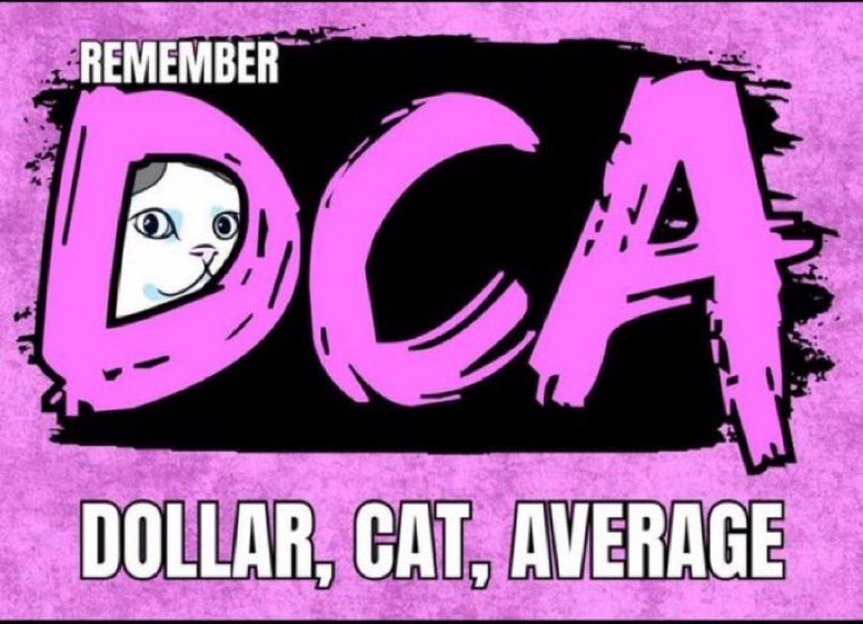 mooncatonmoon's tweet image. Reminder 🌙🐱