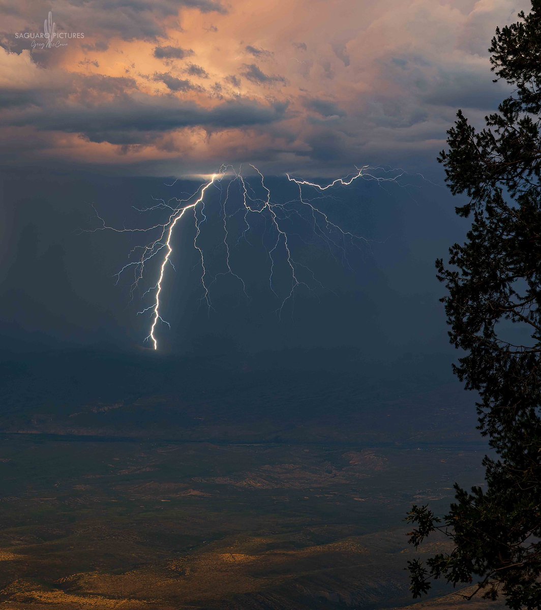 Greg McCown tweet media