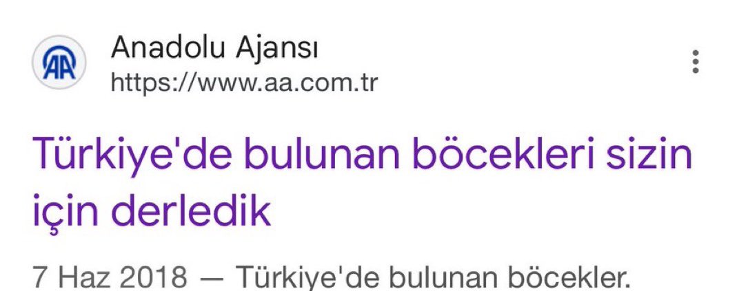 deniz karakuş (@denizkarakusu) on Twitter photo 