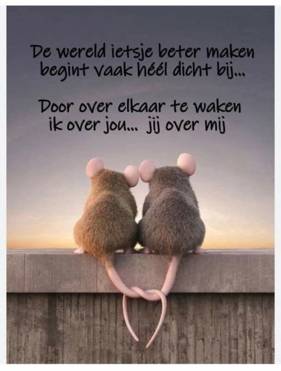 So is dat #goedemorgen ☮️ peace not war 💜