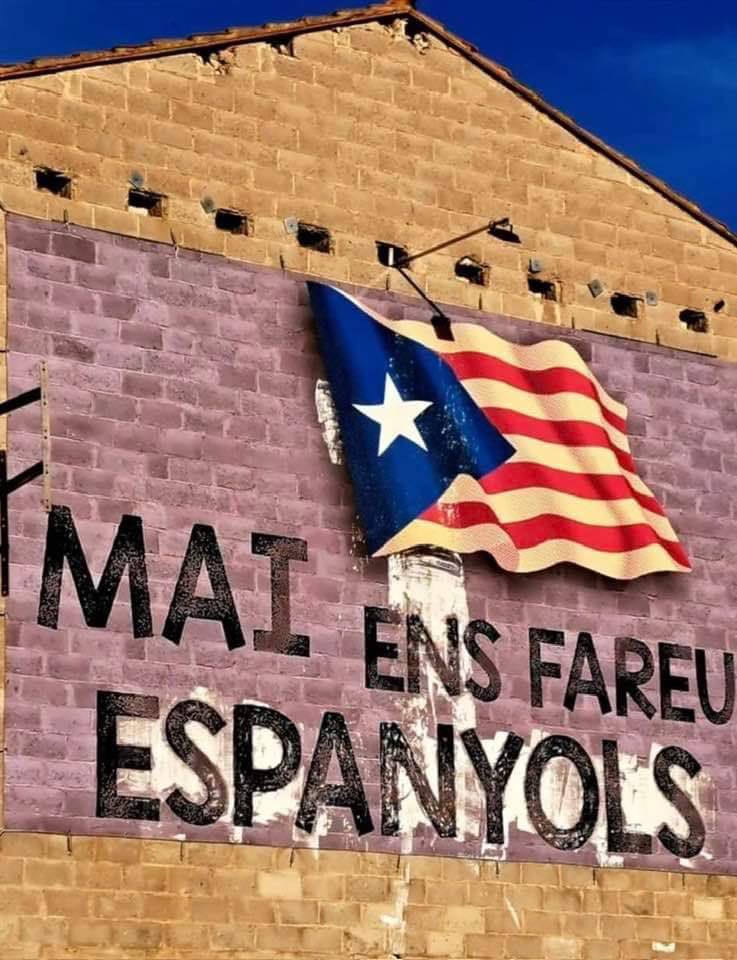 Miquel👨⚖ tweet media