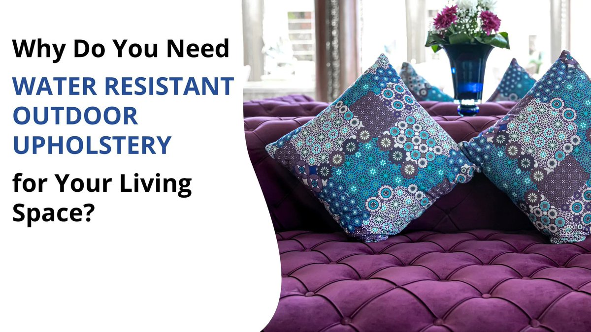 Siena Jones tweet media