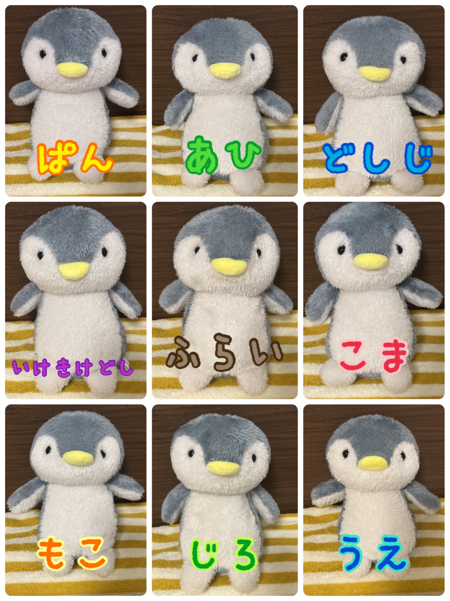 DAISO　ペンギンぬいぐるみ ペンギンBrothers on X: 
