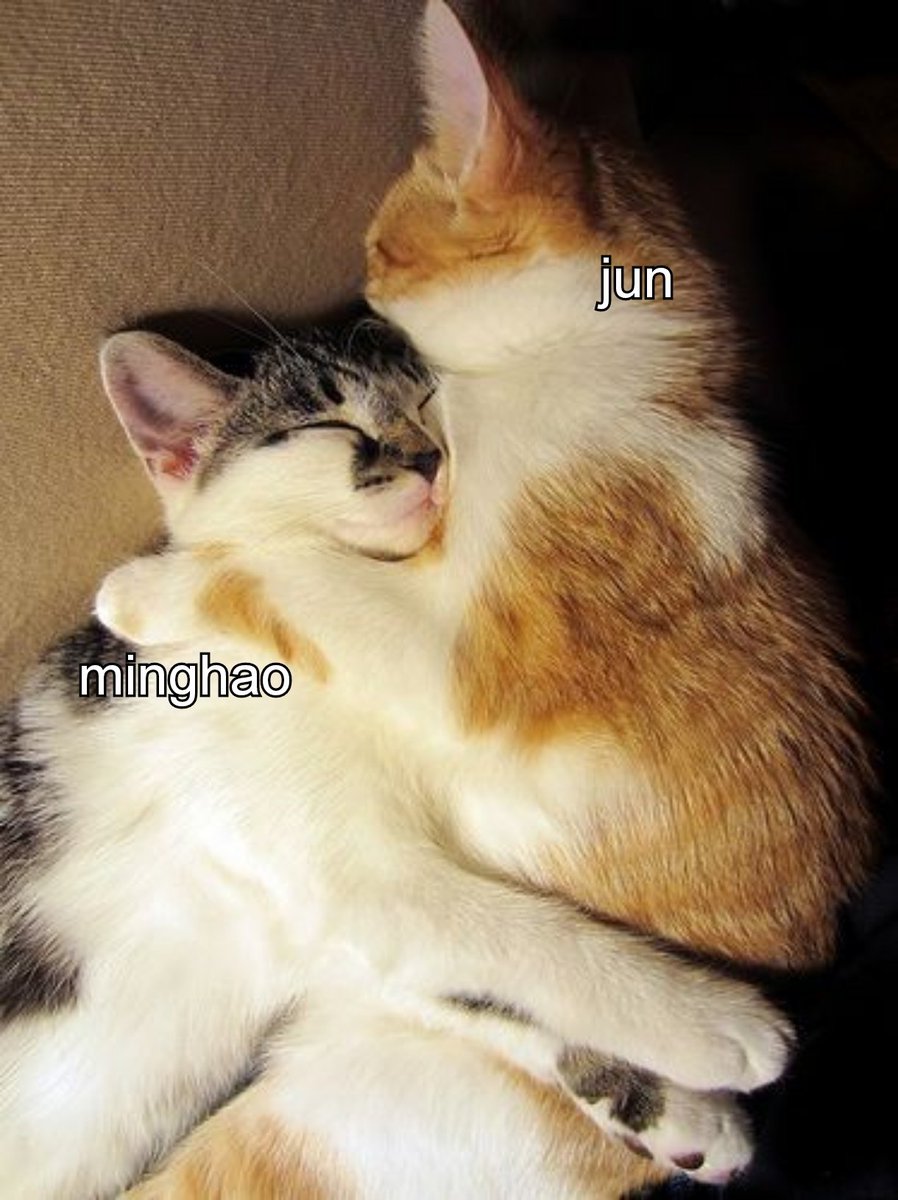 junhao as cats (@catsjunhao) on Twitter photo 