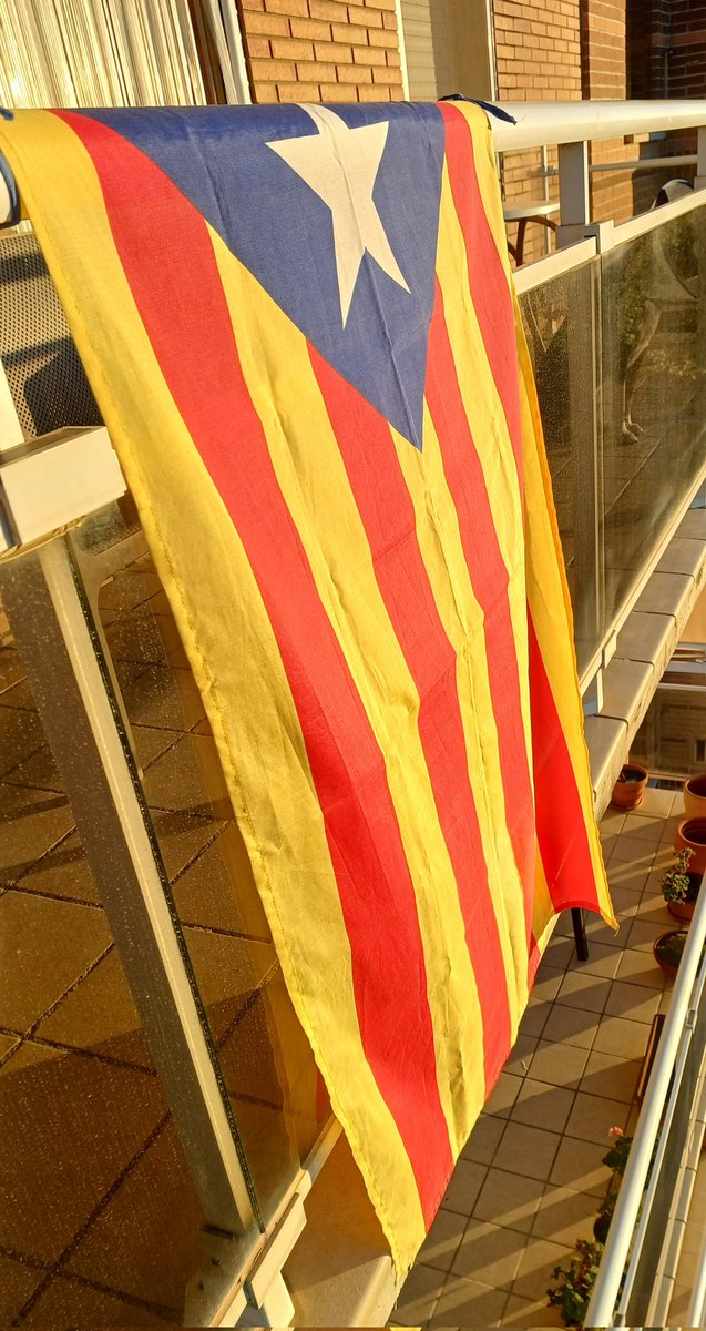 Bona #Diada2025❗️✊️