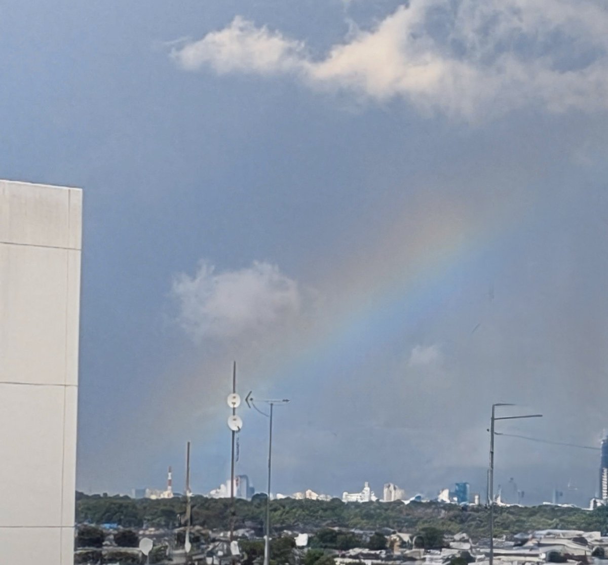 晴れたら虹が出てた🌈