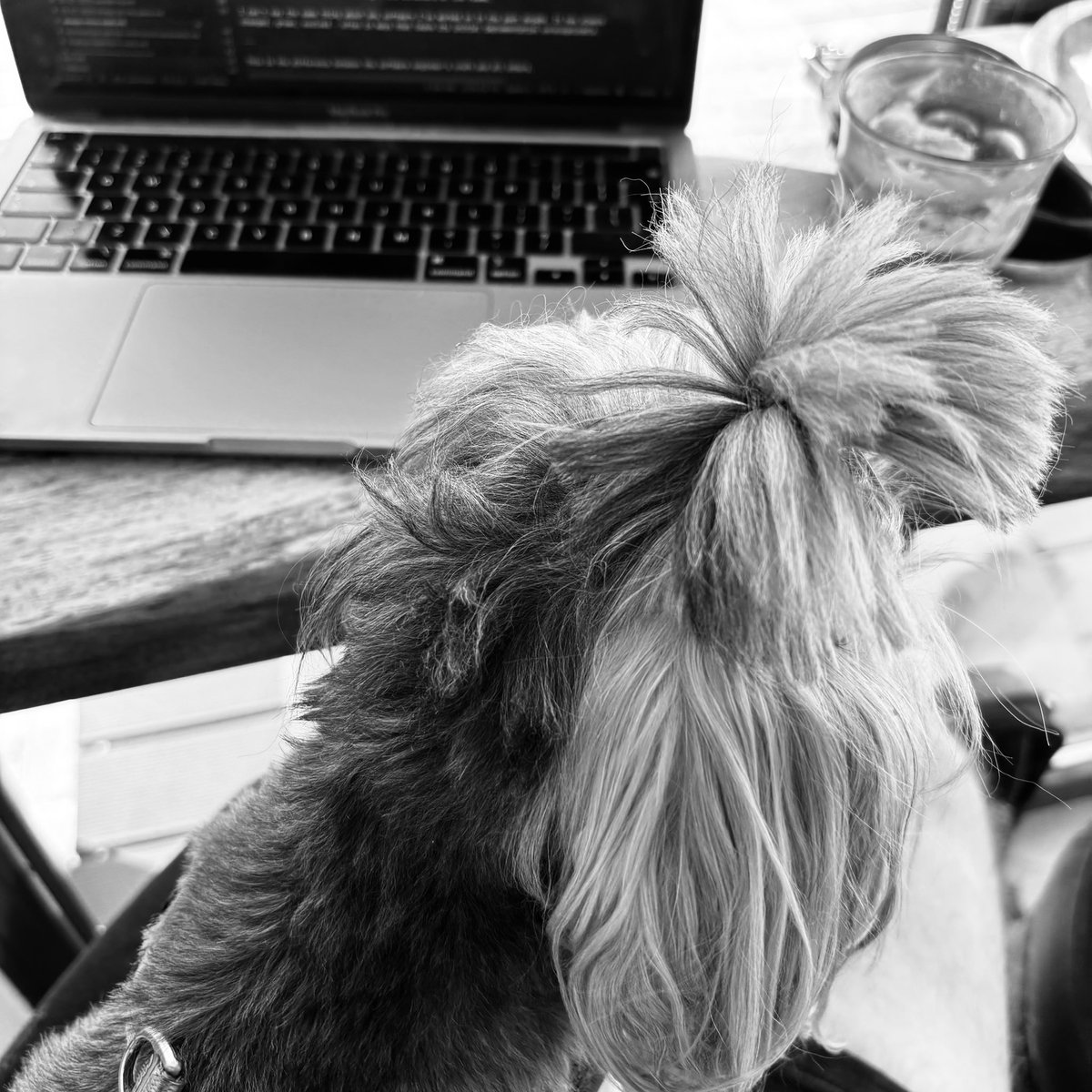 Writing the intro to distributed systems I wish I had back in the day.