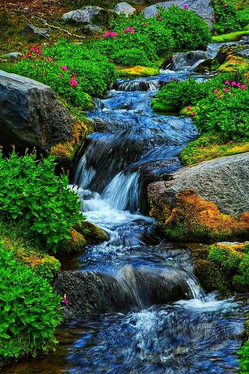 urnature3's tweet image. Fresh water 💦 
Waterfall 😍🏞️
#waterpark
#waterlogging
#AppleEvent
#10septembre2025