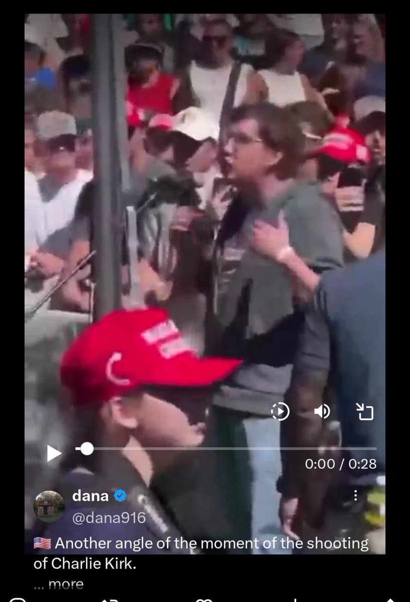 JoanQfAmerica tweet media