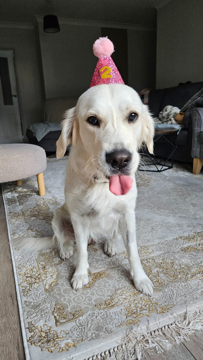 Everyone say happy birthday to connie 🙂‍↕️🙂‍↕️🙂‍↕️