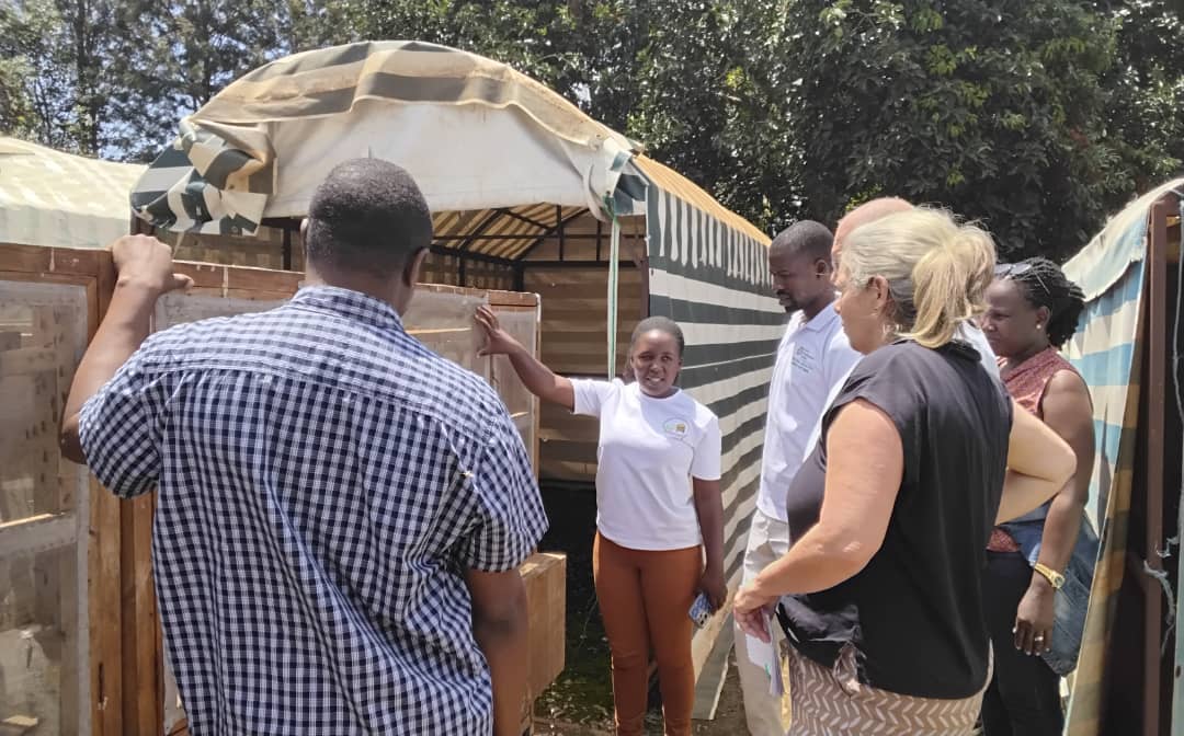 m_a_m_a_h's tweet image. A team from Netherlands from different institutions exploring ways to improve insect production in the country.