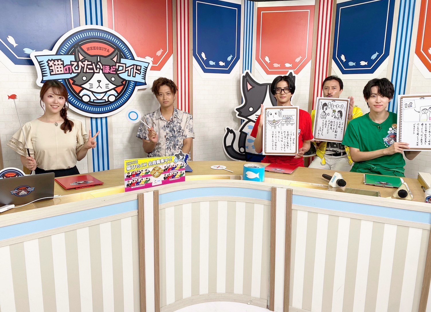 猫のひたいほどワイド 番組箱推しタオル 値引き可能 猫のひたいほどワイド